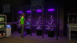 Schedule I v0.3.3f9 + Crack – Game Mô Phỏng Buôn Bán Ma Túy, Xây Đế Chế Đô Thị Hyland Point, Hơn 20 Loại Thuốc, Multiplayer Online Vĩnh Viễn!